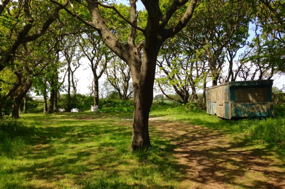 Property for Sale, Selsey 1 Park Copse, East Beach Baileys Estate Agent
